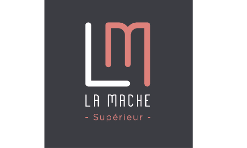 Logo partenaire PNG_École La Mache Lyon
