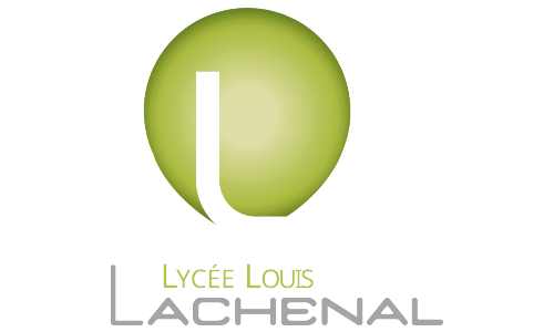Logo partenaire PNG_Lycée Louis Lachenal Argonay