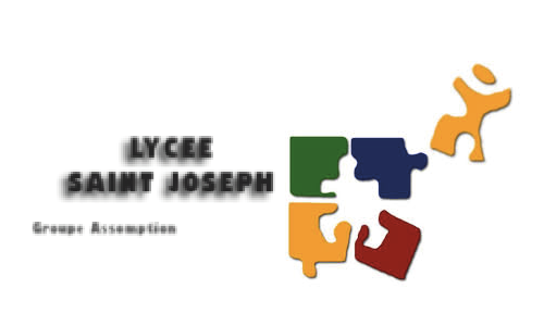 Logo partenaire PNG_Lycée Saint-Joseph Lyon