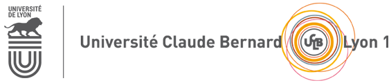 Logo partenaire PNG_Université Lyon 1
