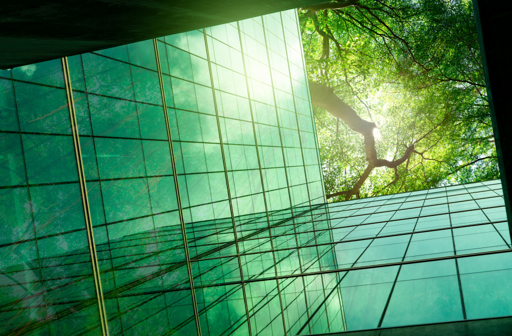 Image non disponible